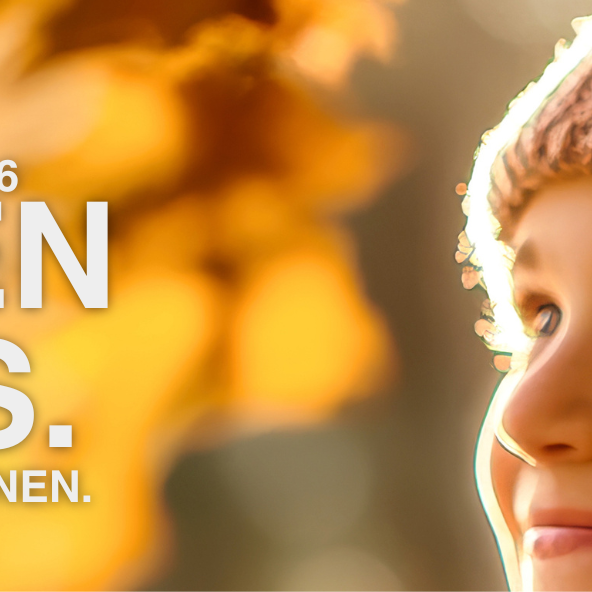 slider herbstsammlung